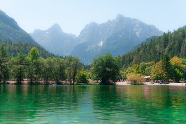 Marondelliva резултати